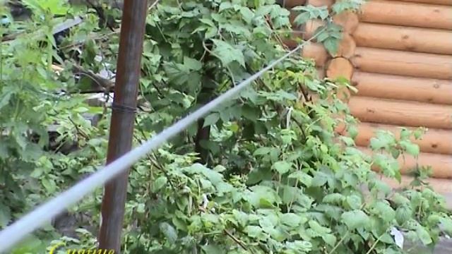 Архитектурные элементы смотреть онлайн