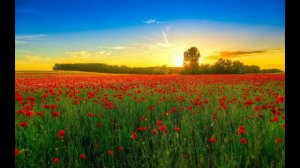 Я люблю Христа и знаю...