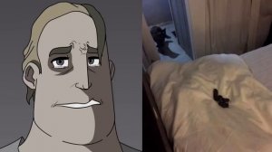 Твой кот сделал это... (мем мистер Исключительный)