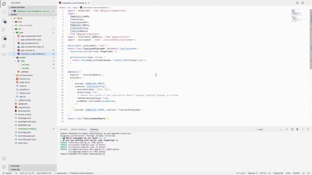 Transloco Guide - Installation смотреть онлайн