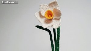 Амигуруми: схема Нарцисс | Игрушки вязаные крючком