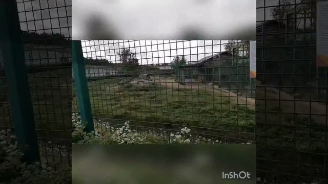 Ярославль. Зоопарк. Часть 1 смотреть онлайн