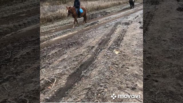 Добро пожаловать в коный двор Легран это мои фото с сестрой под песню если тебе будет грустно смотреть онлайн