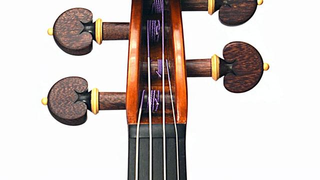 Violino 05 : 2019 смотреть онлайн