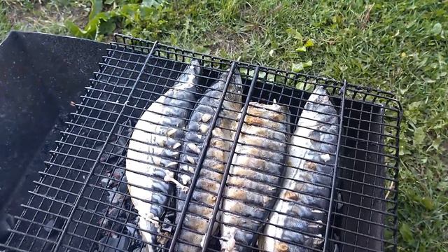 Скумбрия, жареная на мангале - очень вкусно, быстро, просто! Это лучше, чем мясо! Попробуйте! смотреть онлайн