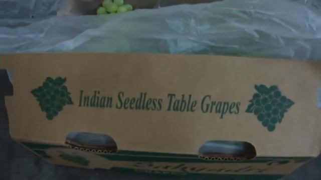 Виноград кишмиш (Индия) смотреть онлайн