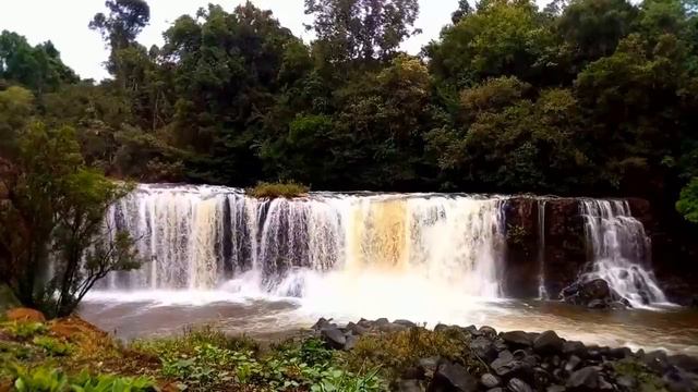 Calming Forest Waterfall. Relaxing Nature Sounds. (10 hours). White noise for sleeping. смотреть онлайн
