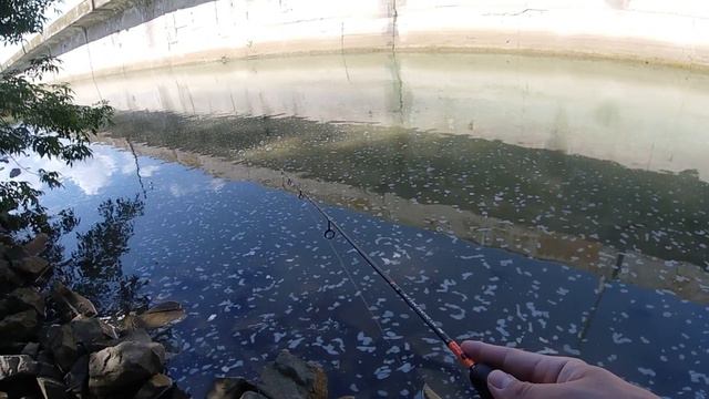 Мормышинг Начало 30 05 2020 смотреть онлайн