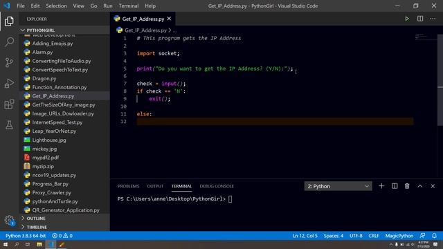 How to get the IP address using Python Script смотреть онлайн