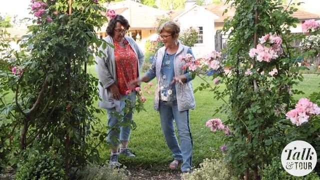 For the Love of Roses ? Talk & Tour: Rose Garden of Charlotte Owendyk ? California Rose Garden смотреть онлайн