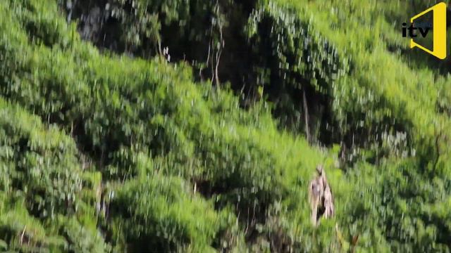 ishraq-Tv Holqa Bonga N/Oromiya G/Jimmaatti argamu qabeenya umamaa oromiyaa ittii dhihadhaa смотреть онлайн