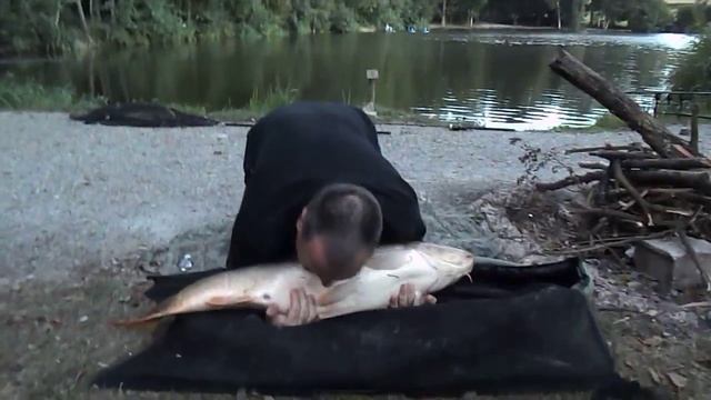 Fish slaps man in face смотреть онлайн
