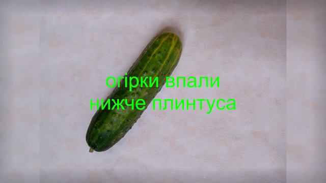 Контроль цін-29: 25-28 липня 23р. День народження BACCARA музичний НАСТУП. Яйця капуста. Б. Церква смотреть онлайн