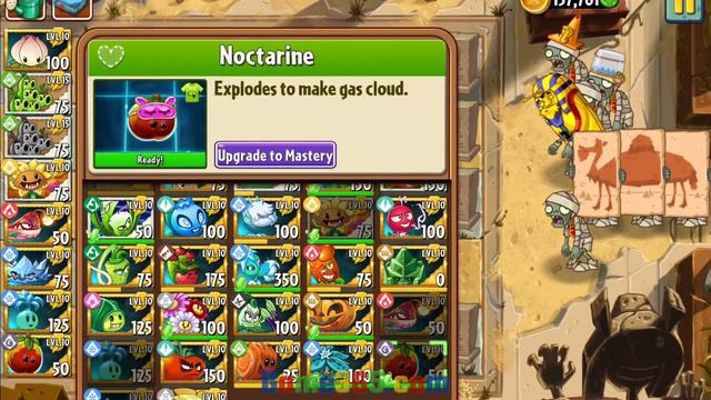 Plants vs Zombies 2 | Pyramid of Doom Level 32-35 (Ancient Egypt) смотреть онлайн