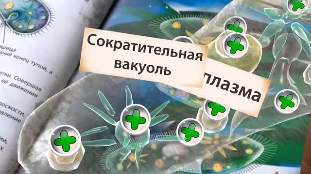 4D-энциклопедия в дополненной реальности "Микромир" смотреть онлайн