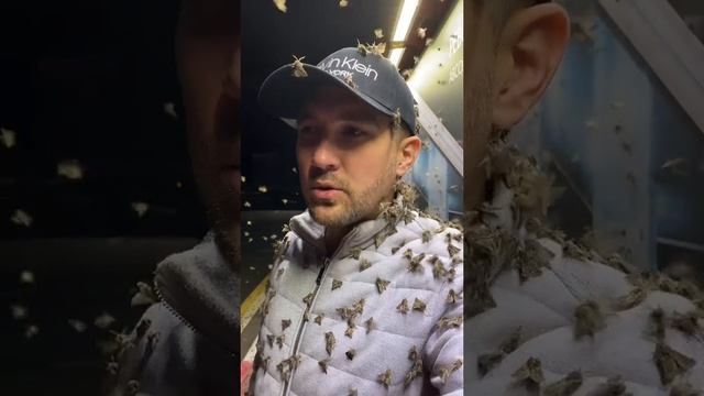 Смешные видео приколы .mp4 смотреть онлайн