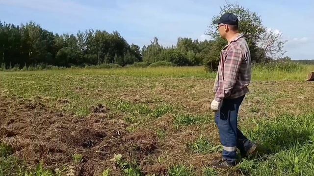 Летние каникулы. Разработка луговины по Мальцеву. Культиватор Радогост-Маш. смотреть онлайн