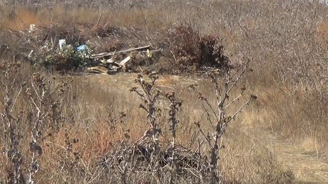 Кагальницкий район мусорная столица Ростовской области смотреть онлайн