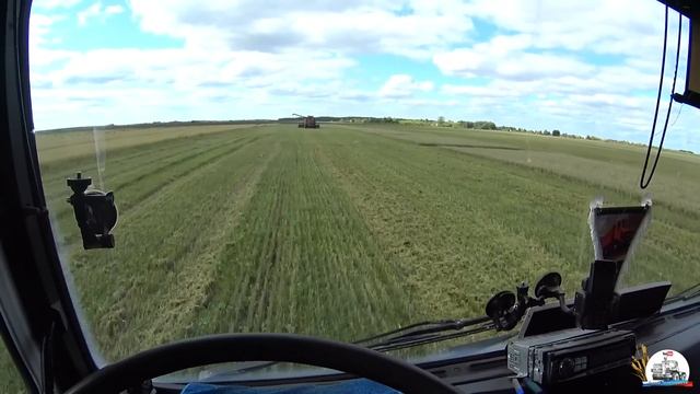 Жнём яровую пшеницу на двух Палессе и одном Акросе. Работа на МАЗ-5551 в уборку. смотреть онлайн