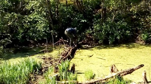 СТРОИМ НОВЫЙ МОСТ