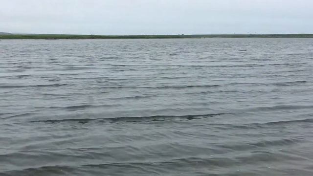 Прогулка по берегу реки. смотреть онлайн