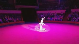 Акробатический дуэт с композицией " Две сестры "