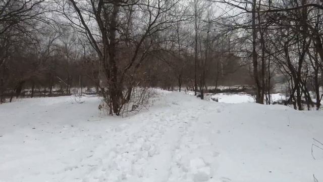 Новогодняя прогулка в Вырву (Запорожье) - 1 января 2022 года. смотреть онлайн