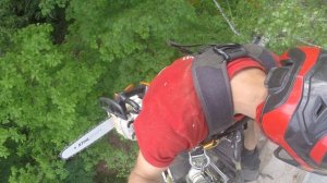 Спил березы в сложных условиях.  Как спилить макушку дерева и не повредить ничего вокруг