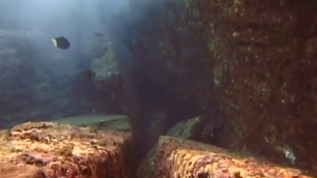 Diving Japan's mysterious underwater ruins with Graham Hancock смотреть онлайн