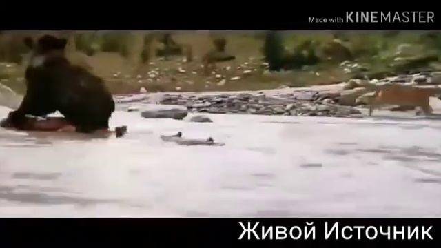 Когда душа твоя тоскует христианская песня? смотреть онлайн