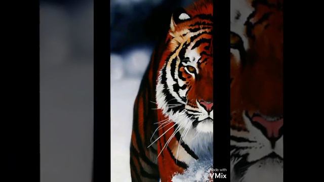 12 января 2021 г. смотреть онлайн