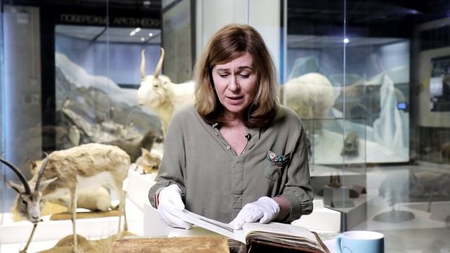 Трагическая история научной экспедиции 18 века на юг России смотреть онлайн