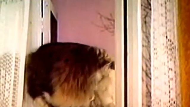 Приключения четырех друзей смотреть онлайн
