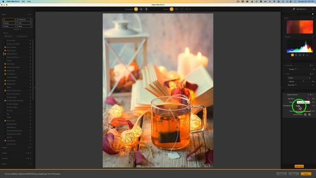 Nik COLLECTION 5: Understanding The Brilliance/Warmth Filter (Nik Color Efex Pro) смотреть онлайн