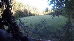 Охота на  крупного медведя 2020.