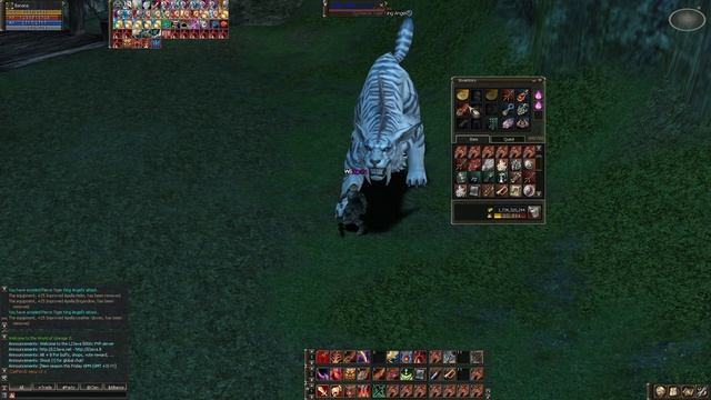 playing Lineage II solo rb pvp server l2 java before wipe смотреть онлайн