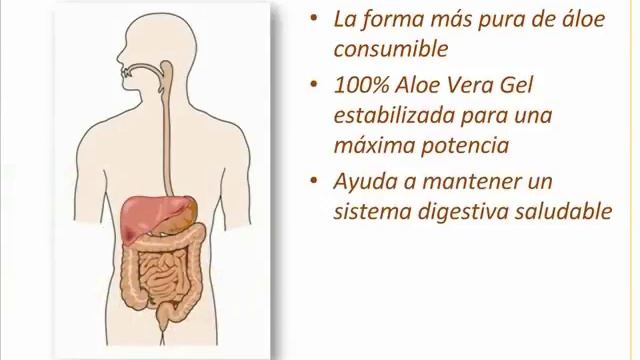 Forever Aloe Vera Gel смотреть онлайн