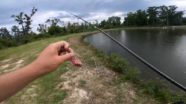 Grocery Store FOOD Fishing CHALLENGE For Biggest Fish (1v1v1v1) смотреть онлайн