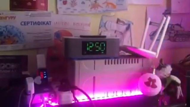 Комп'ютерний годинник. смотреть онлайн