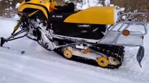 Динго 125 мнение покупателя