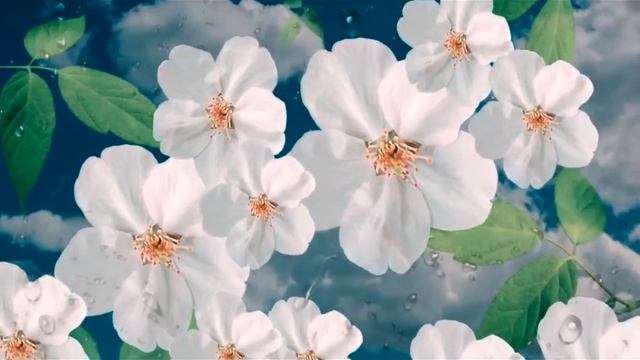 Весенне вдохновение