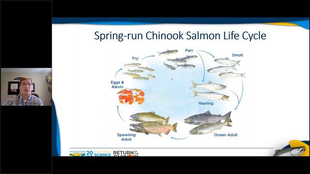 Return of the Chinook смотреть онлайн