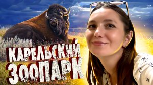 Карельский ЗООПАРК - Билеты и цены / Что посмотреть в КАРЕЛИИ / Зоопарки России