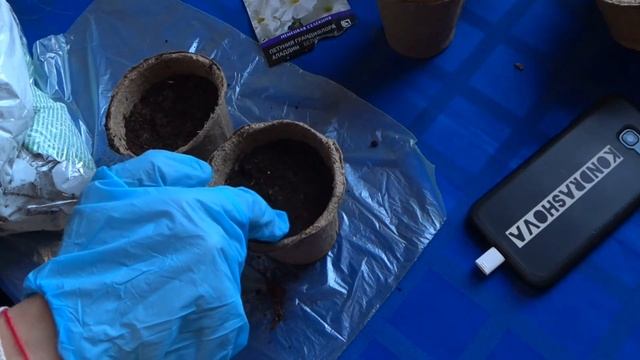 САЖАЕМ ПЕТУНИЮ. Самый простой и верный способ посадки. Сажаем цветы - инструкция для новичков смотреть онлайн