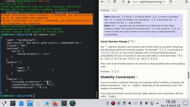 darganfotbrofiad, Mewnsefydlu Composer a Packagist #1, PHP, Class, 220805 смотреть онлайн