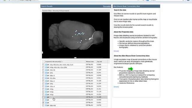 Webinar: Allen Mouse Brain Connectivity Atlas смотреть онлайн