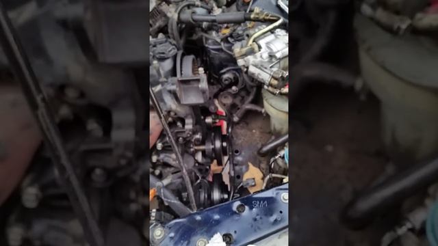 1992 honda accord whining timing belt fix смотреть онлайн