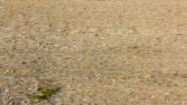 RC Buggy 4WD Racing Off-Road Drift смотреть онлайн