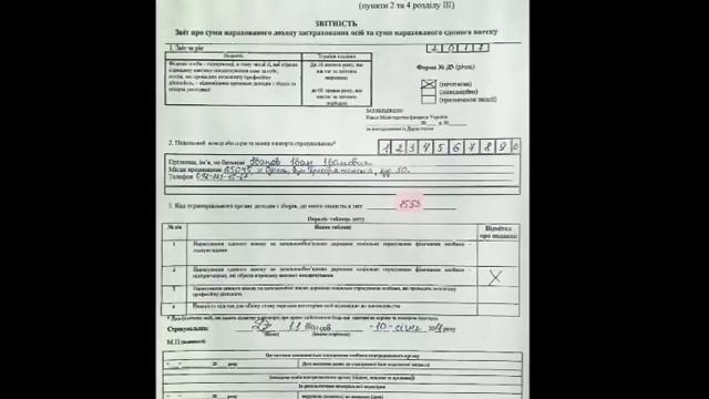 Годовой отчет по ЕСВ за 2017. ФОП СПД на Едином налоге. 2 и 3 группа.