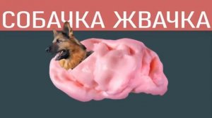 Собачка Жвачка НАОБОРОТ